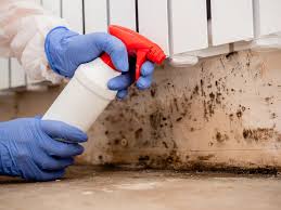 Best Comprehensive Air Testing for Mold Contaminants in USA